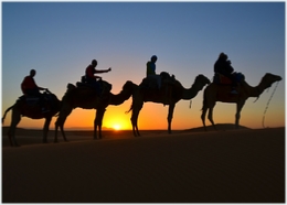 Ouarzazate Tours